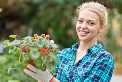 Seasonal planting being installed in a residential garden