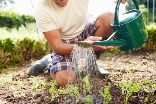 Person using a screen reader and tablet while researching Euston gardening activities