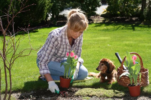 Maintenance team preparing plants in an urban courtyard